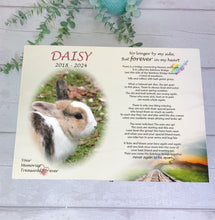 Load image into Gallery viewer, Personalised Rabbit Rainbow Bridge Memory Keepsake Box
