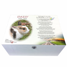 Load image into Gallery viewer, Personalised Rabbit Rainbow Bridge Memory Keepsake Box
