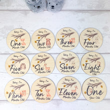 Load image into Gallery viewer, Wooden Baby Age and Milestone Discs Bundle, Woodland Animal Theme
